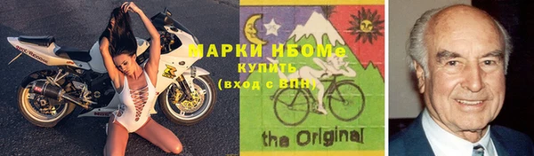 прущие грибы Сясьстрой
