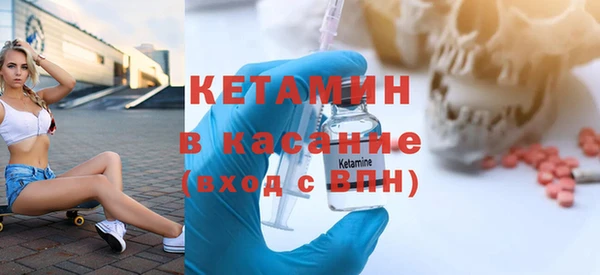 прущие грибы Сясьстрой