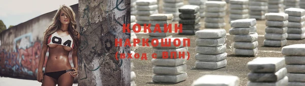 прущие грибы Сясьстрой