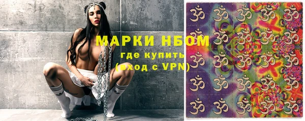 прущие грибы Сясьстрой