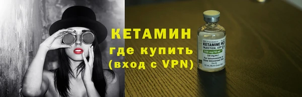 прущие грибы Сясьстрой