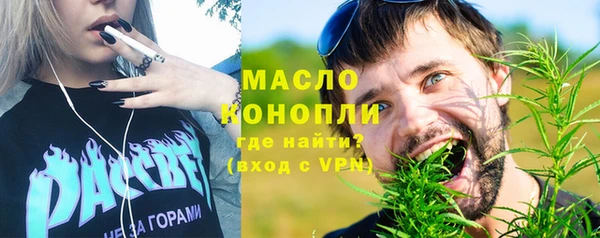 хмурый Тавда