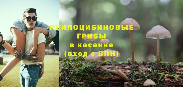 мяу мяу мука Горняк