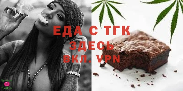 хмурый Тавда