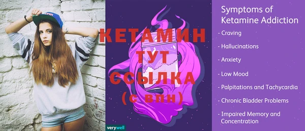 хмурый Тавда