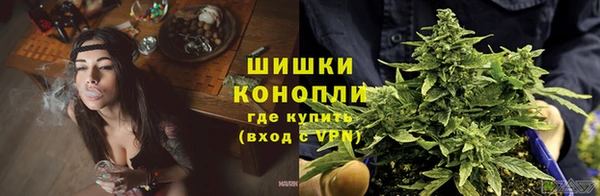 мяу мяу мука Горняк