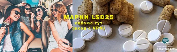 прущие грибы Сясьстрой