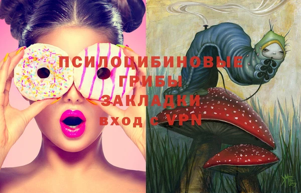 мяу мяу мука Горняк