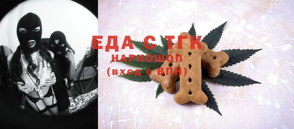 хмурый Тавда
