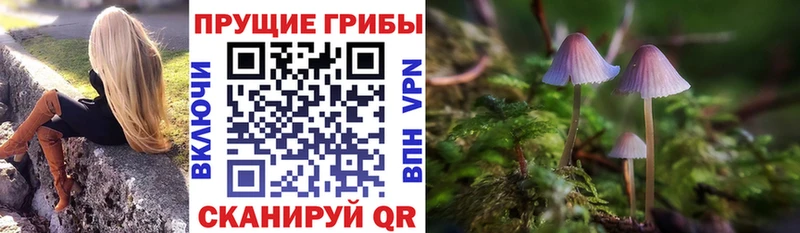 Купить где  Исилькуль  Галлюциногенные грибы MAGIC MUSHROOMS 